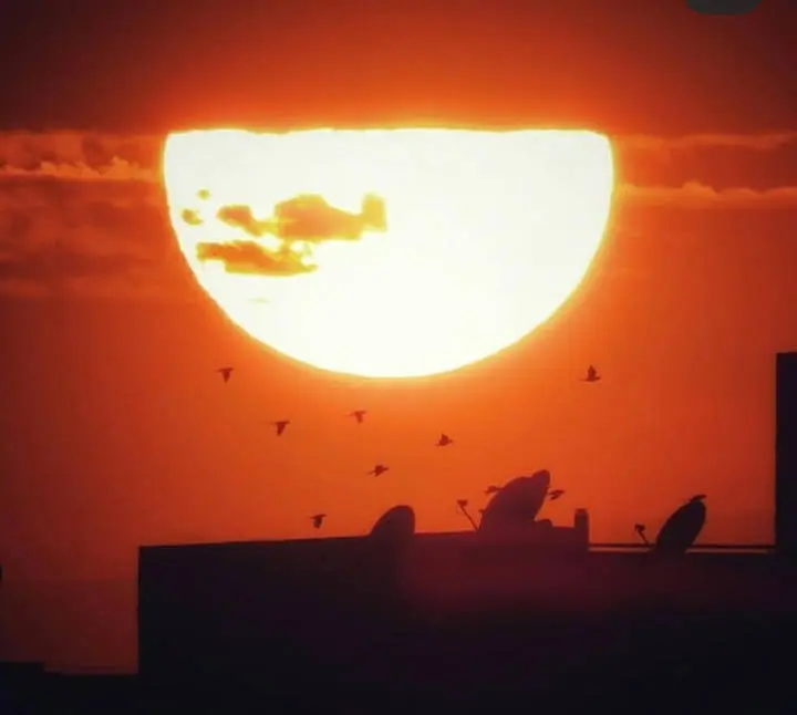 A massive sun setting behind rooftops with birds scattered across the fiery sky